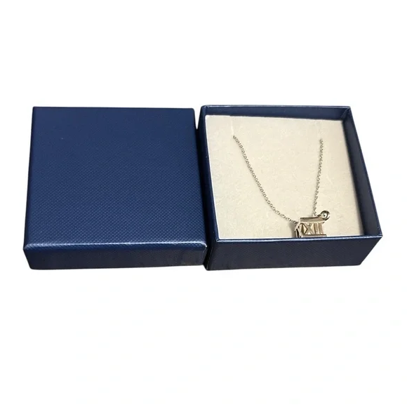 Tiffany & Co Pendant Necklace 16-18” ChainC - Picture 2 of 3